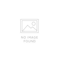 Bisley Women Watches with Shiny Starry Sky Dial Watch